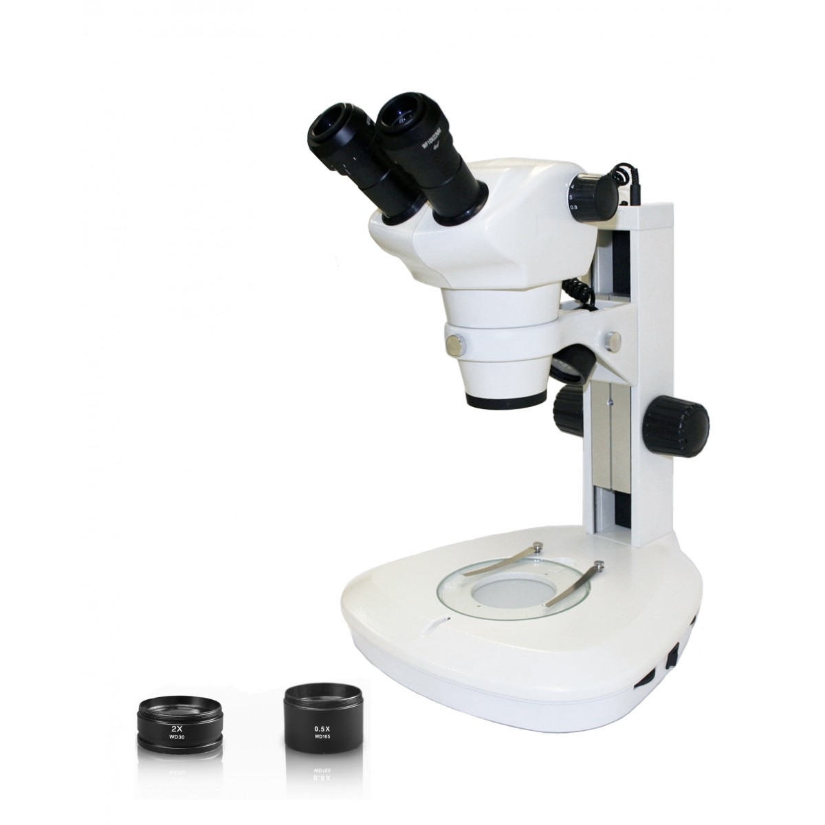 10x WF & 25x WF Eyepiece Brightfield LED Illumination,Gliding Round Stage,Rechargeable Battery Vision Scientific VME0018-T-RC Dual View Elementary Level Compound Microscope 40x—1000x Magnification