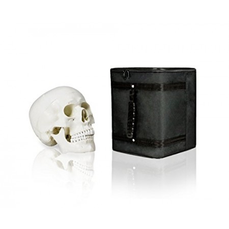 VAL207-A-CC3 Life-Size Human Skull with Carrying Case