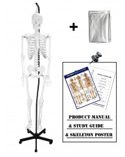VAS201-H-DC Hanging Full Size 66" Human Skeleton with Thick Zip Dust Cover  